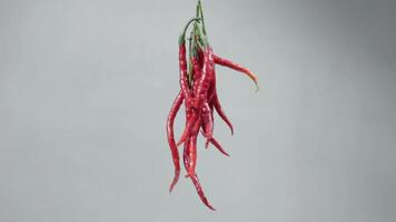 Curly red chilies hanging and rotating slowly on a white background. Spices that add spicy flavor. Studio quality footage shot at close range video