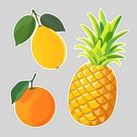 Tropical set Pineapple, lemon and orange. Isolated illustration on white background. image vector