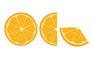 Orange slices Round, half, third part of orange slice on white background. illustration vector
