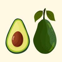 Avocado fruit whole with green leaves and half with seeds. image isolated on light background vector