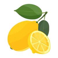 Lemon and lemon slice .Bright illustration on isolated white background Lemon icon vector