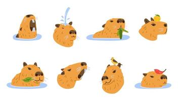 Cute capybaras heads with different emotions flat illustrations set isolated on white. Capybara chillingt, swimming while eating green leaves, holding tangerine on it's head, smiling, getting angry. vector