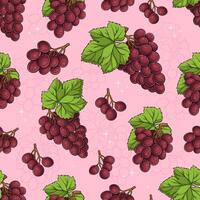 Hand drawn seamless pattern of red globe, flame seedless, crimson seedless grapes with green leaves vector
