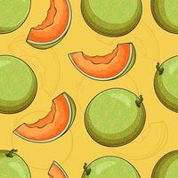 Hand drawn seamless pattern of full and sliced sweet aromatic greenish cantaloupe melon with seeds vector