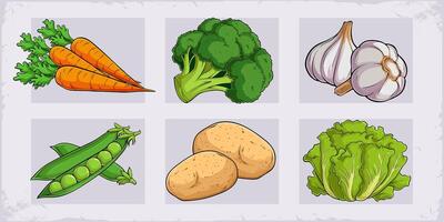 Hand drawn set of healthy organic vegetables carrots, broccoli, garlic, potato, lettuce, pea pods vector
