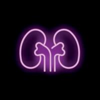 Neon style icon of human kidneys glowing on black background vector