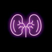 Neon style icon of human kidneys glowing on black background vector