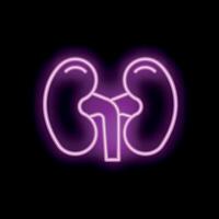 Neon icon of human kidneys glowing on black background vector