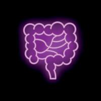 Neon icon of human intestines glowing on dark background vector