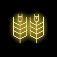 Neon icon of wheat grain growing in farm field vector