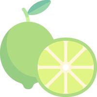 A lime and a slice of fruit vector