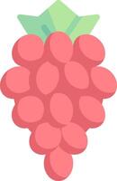 A bunch of grapes on a white background vector