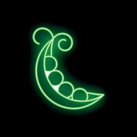 Green neon sign showing open pea pod on black background vector