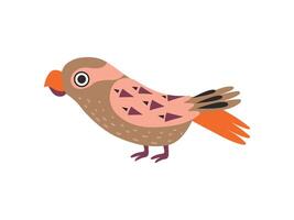 Parrot Bird with Colored Feathers and Wings Illustration vector