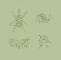 Beetles elements rhinoceros beetle, snail, moth, ladybug drawing in floral style on green background vector
