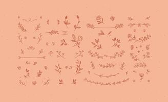 Elements flowers and branches to create label or sign in hand drawing style. Coral color background. vector