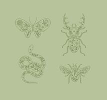 Beetles elements stag beetle, snake, moth, insect drawing in floral style on green background vector