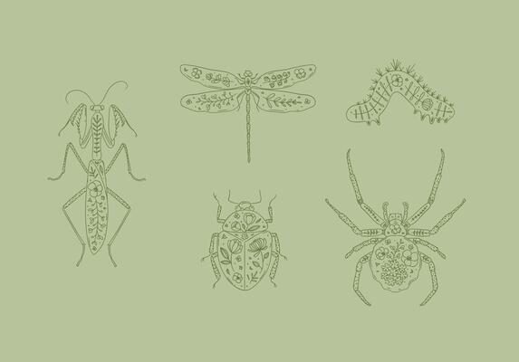 Beetles elements mantis, dragonfly, spider, caterpillar, insect drawing in floral style on green background