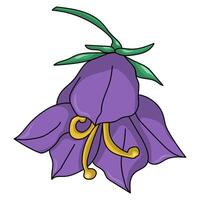 Blooming bluebell flower, delicate hand drawn plant with outline and five petals vector
