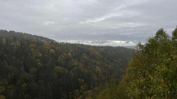 View of autumn mountain forest with cloudy weather. Poland photo