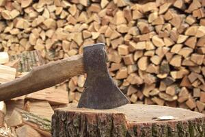 The chopped tree was piled in a pile. photo