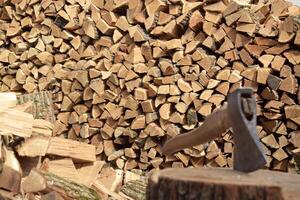 The chopped tree was piled in a pile. photo