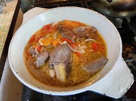 Preparing a homemade veal stew with vegetables photo