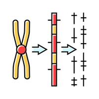 gene mapping cryptogenetics color icon illustration vector