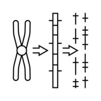 gene mapping cryptogenetics line icon illustration vector