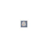 functional mri neuroscience neurology color icon illustration vector