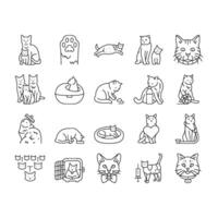 cat breeding genetics cattery icons set vector