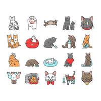 cat breeding genetics cattery icons set vector