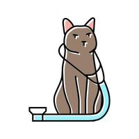 stethoscope cat breeding color icon illustration vector