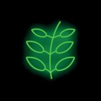 Green neon branch glowing on black background vector