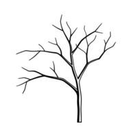 Dry Branches of Dead Tree - Stunning Stock Photos for Nature and Artistic Projects vector