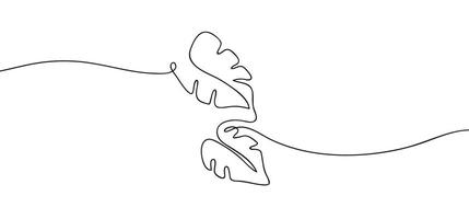 Tropical monstera leaves in one continuous line drawing. single line art, black contour stroke. vector
