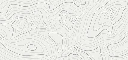 Abstract black line topography map contour with grey background. illustration vector