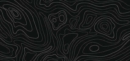 abstract pattern with swirls. Panorama view gradient multicolor wave curve lines. Line topography map contour background. Topographic contour map abstract tech motion graphic design. vector