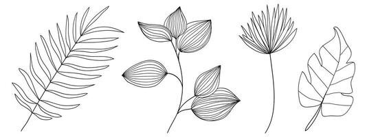 Set of twigs with leaves botanical hand- drawn collection. illustration vector