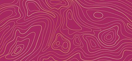 Abstract gold Line topography map contour with purple background. illustration vector