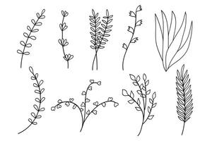 Set of Floral Botanical. flower ,twigs and leaves drawings. Black and white with line art on white background. vector