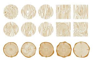 Tree rings. Wood texture . Abstract circle tree background. vector