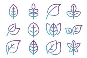 Natural set gradient outline leaves and branches icons vector
