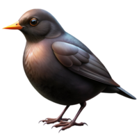 High Resolution 3D Render of a Blackbird Perfect for Nature Documentaries, Wildlife Illustrations, and Educational Resources png