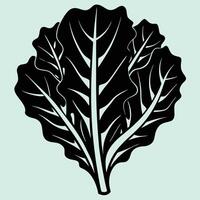 Kale silhouette graphic for creative projects, logos, and outdoor-themed visuals. Ideal for digital or print designs. An elegant natural to your creative projects. Vegetable silhouette Design vector