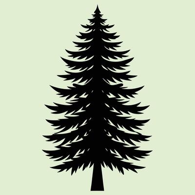 Spruce tree silhouette graphic for creative projects, logos, and outdoor-themed visuals. Ideal for digital or print designs. An elegant natural touch to your creative projects.