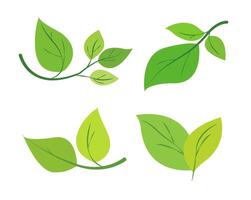 set of green leaves in various shapes and arrangements. Minimalistic graphic style on a white background. The concept is related to nature, eco-friendly logos, gardening, and environmental icons vector