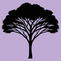 Acacia tree silhouette graphic for creative projects, logos, and outdoor-themed visuals. Ideal for digital or print designs. An elegant natural touch to your creative projects. vector