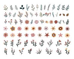 Flower collection with leaves, flower bouquets. flowers. Spring art print with botanical elements in hand drawn style vector