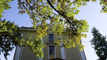 The upper part of a historic building yellow facade is framed by oak branches with green and golden autumn leaves. Captured from a low angle, the image emphasizes the natural contrast between the video